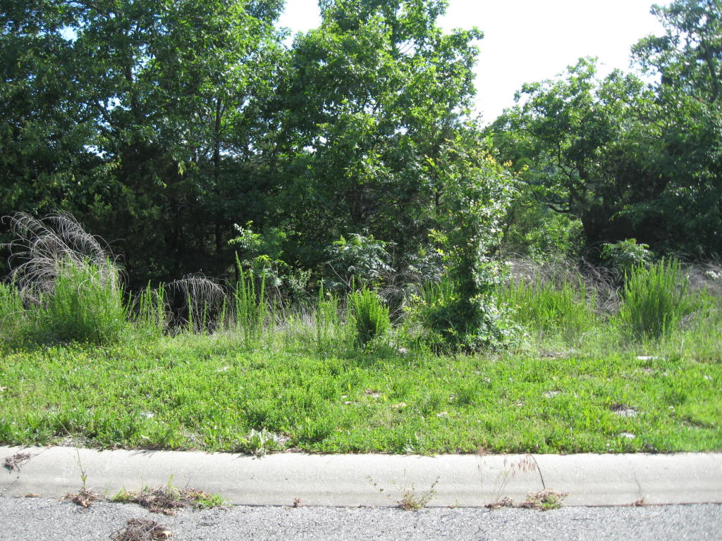 Lot 176 Shayla'S Way, Hollister, MO 65672