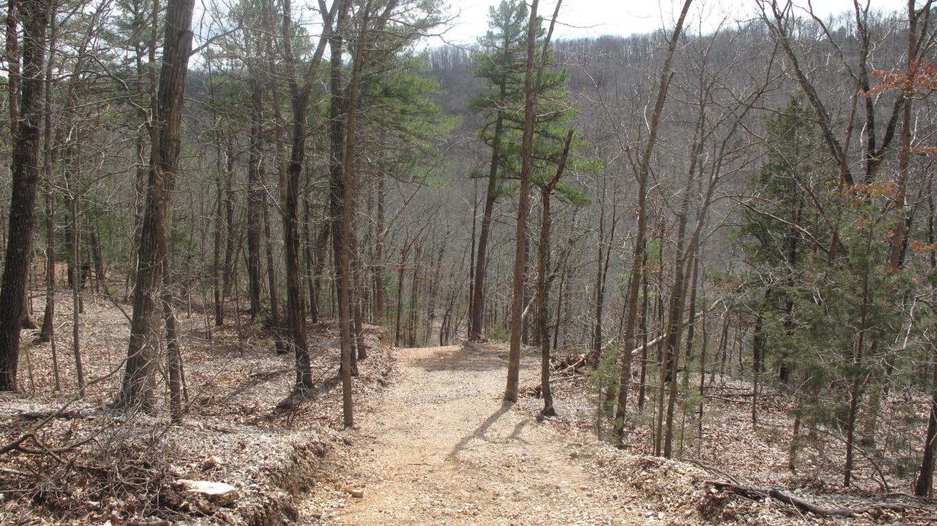 Tbd Pine Top Road, Hollister, MO 65672