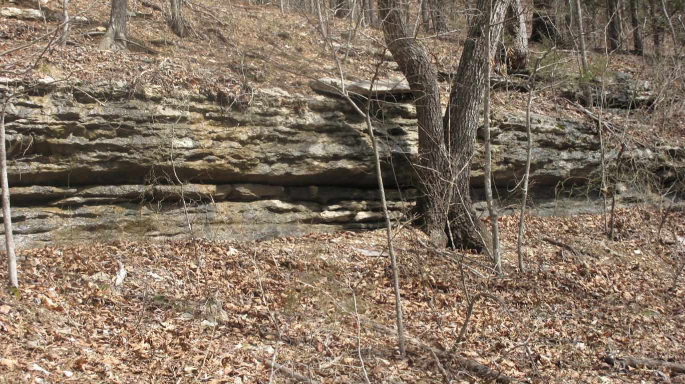 Tbd Pine Top Road, Hollister, MO 65672
