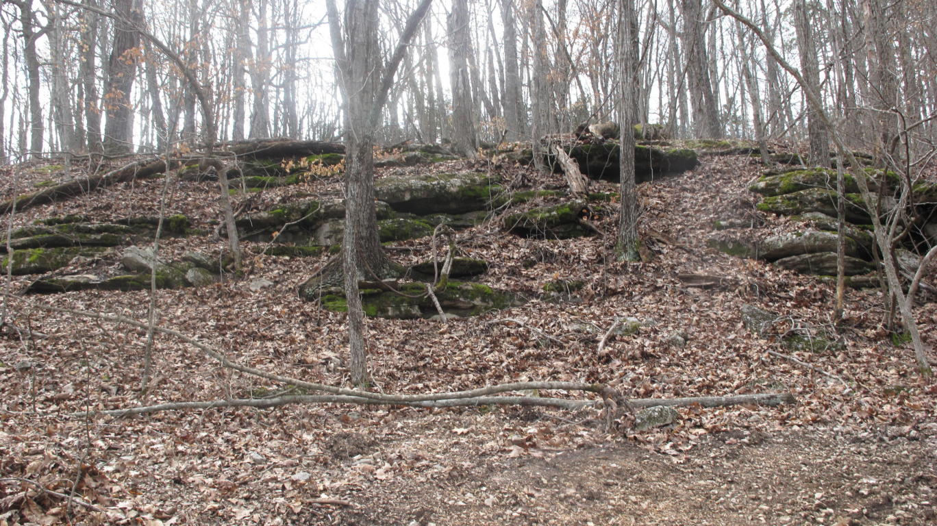 Tbd Pine Top Road, Hollister, MO 65672