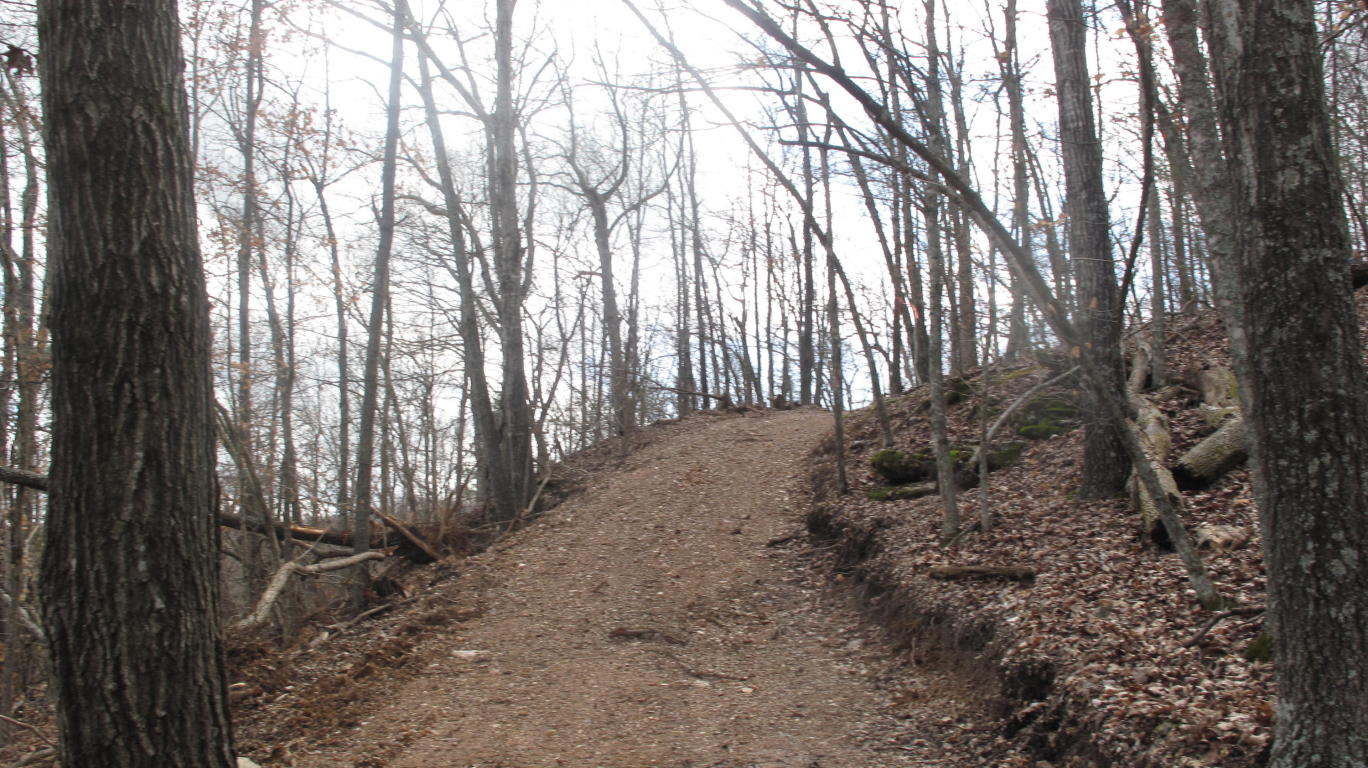 Tbd Pine Top Road, Hollister, MO 65672