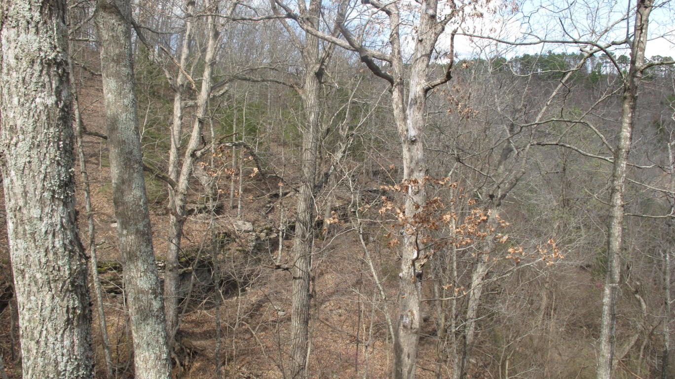Tbd Pine Top Road, Hollister, MO 65672