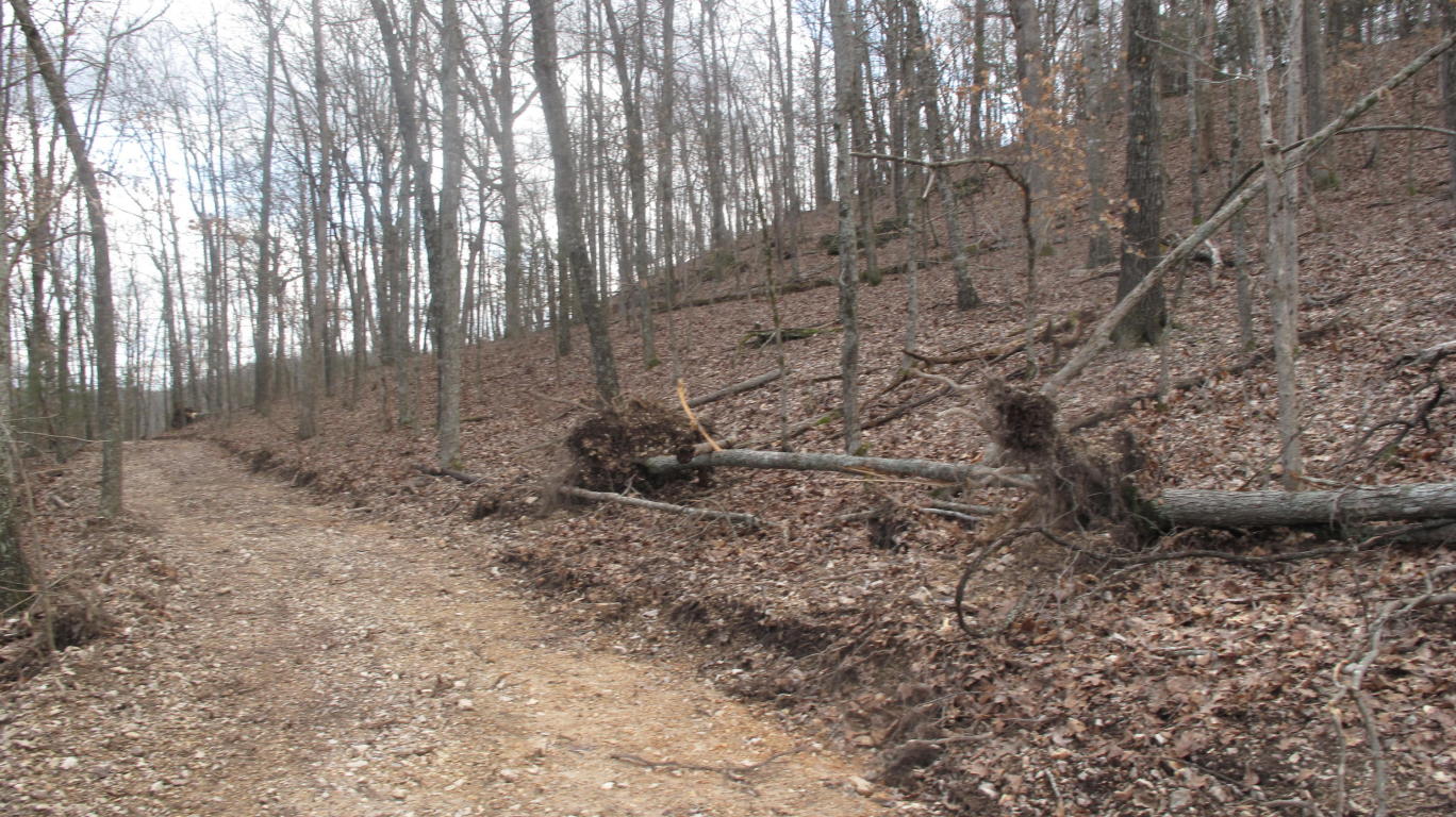 Tbd Pine Top Road, Hollister, MO 65672