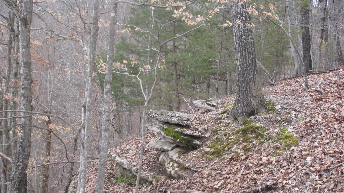 Tbd Pine Top Road, Hollister, MO 65672