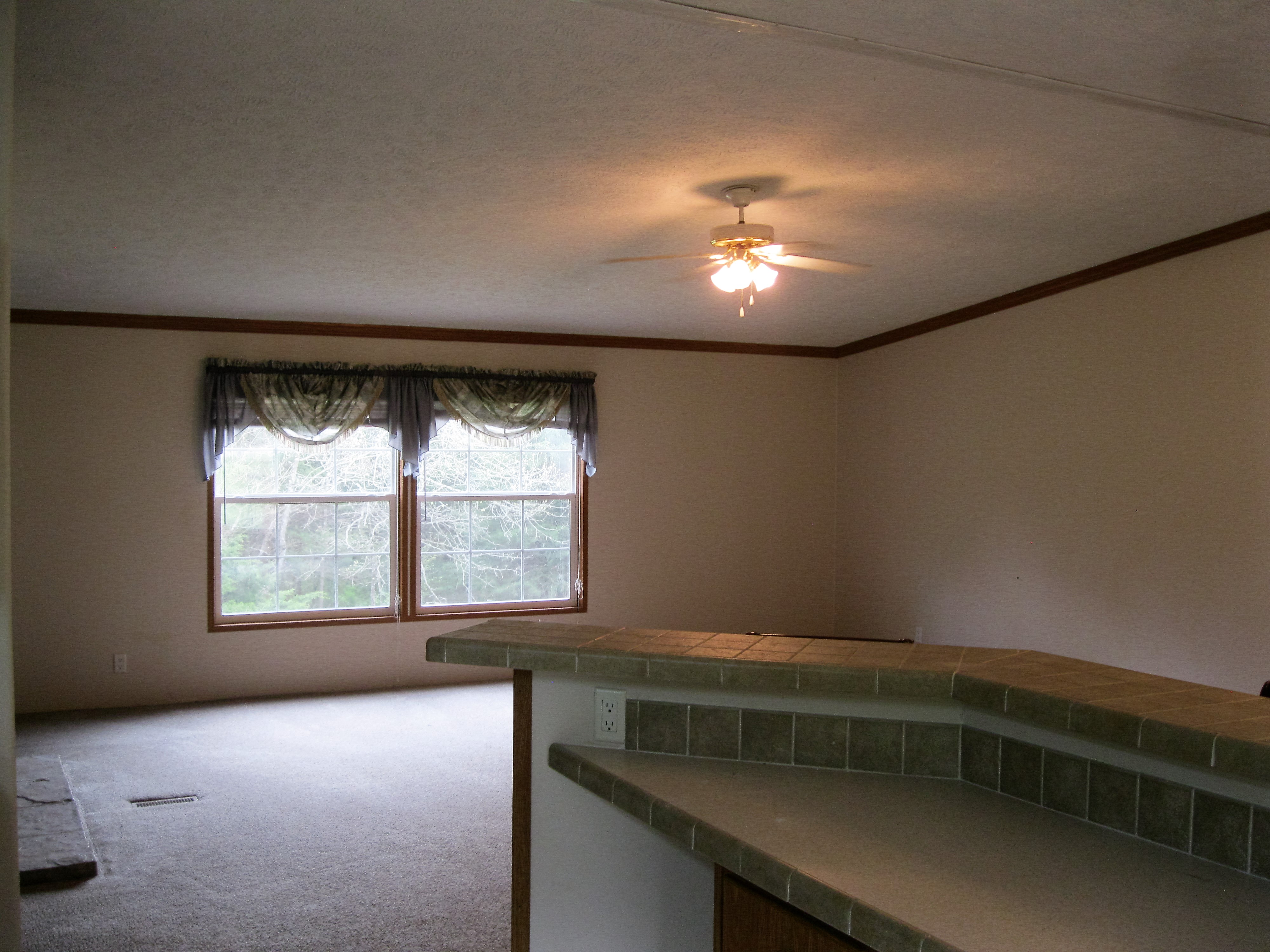 160 Hunters Pointe, Kirbyville, MO 65679
