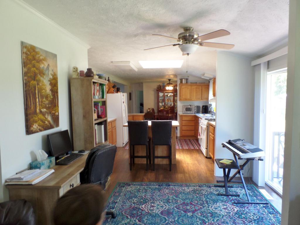 337 Clear Top Lane, Lampe, MO 65681