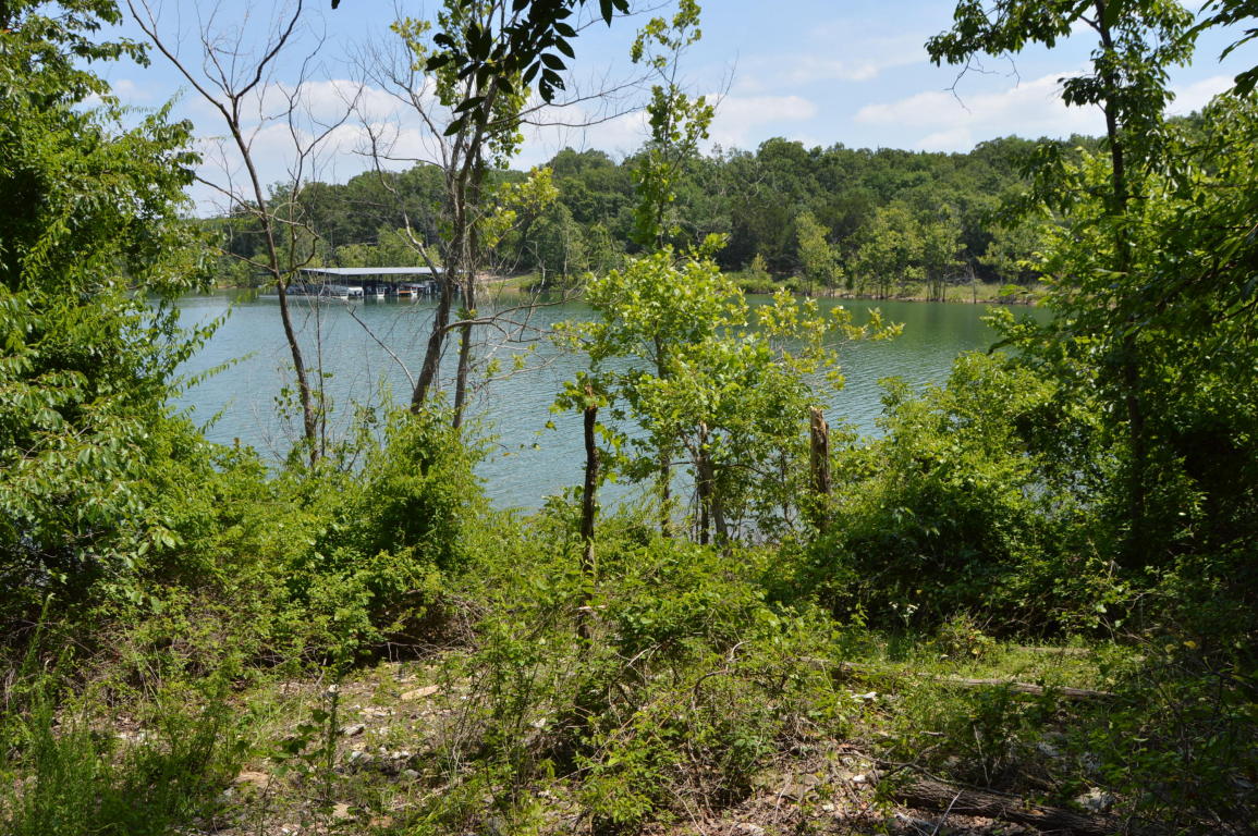 1579 Alyeska Point Road, Lampe, MO 65681