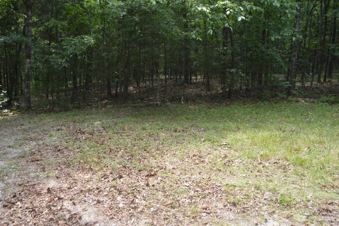 1579 Alyeska Point Road, Lampe, MO 65681