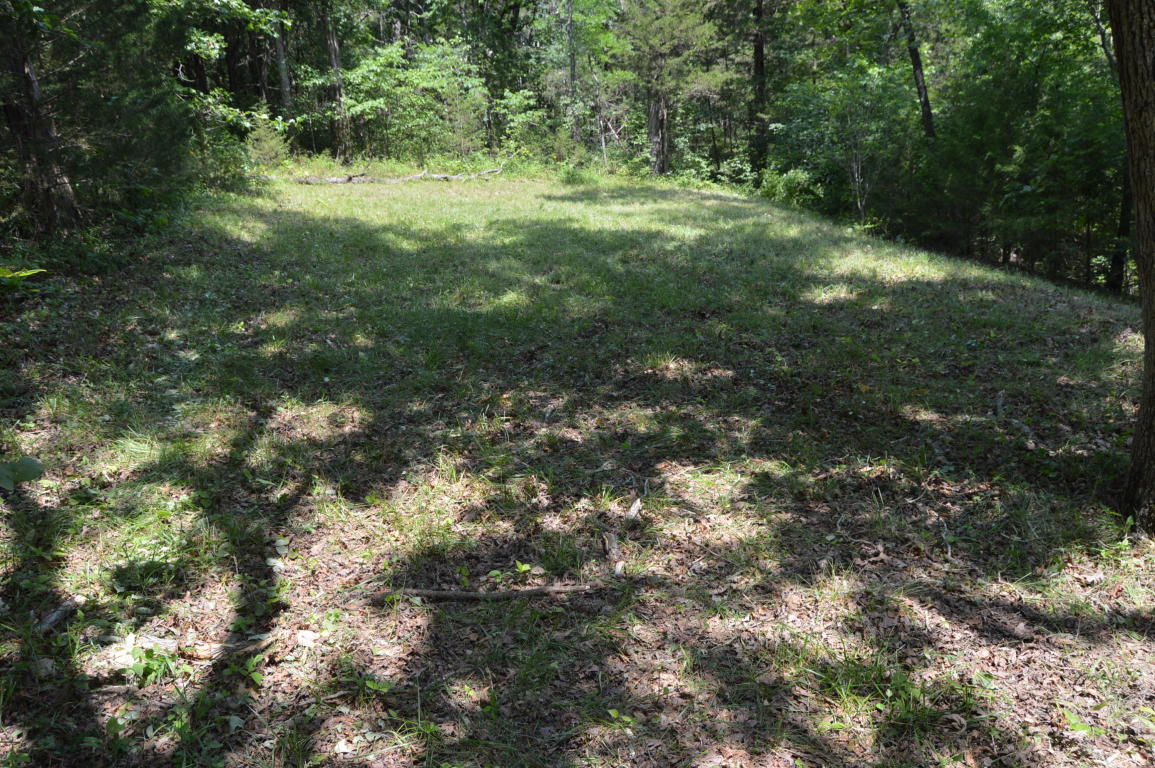 1579 Alyeska Point Road, Lampe, MO 65681