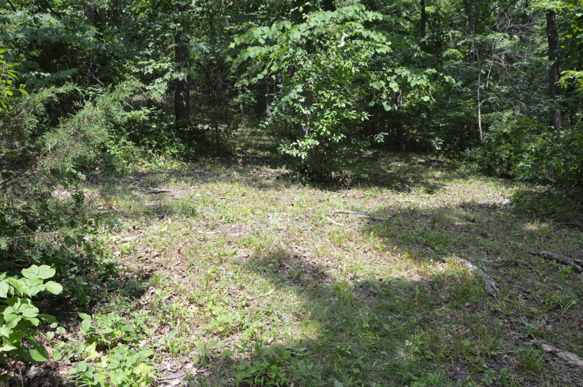 1579 Alyeska Point Road, Lampe, MO 65681