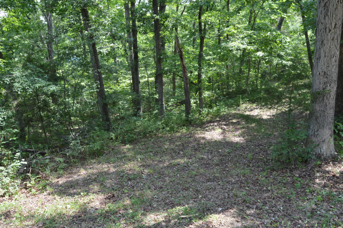 1579 Alyeska Point Road, Lampe, MO 65681