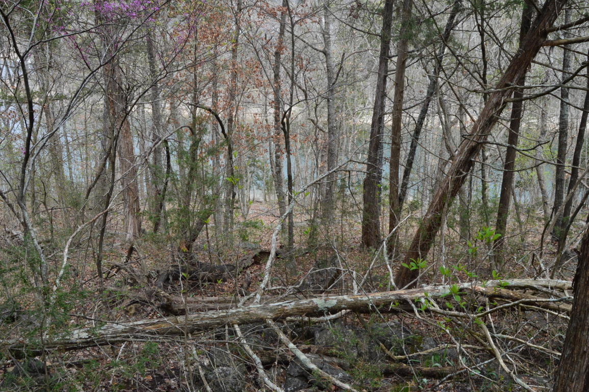 Tbd Little Aunts Creek Road, Kimberling City, MO 65686