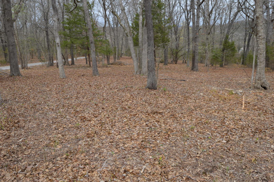 Tbd Little Aunts Creek Road, Kimberling City, MO 65686