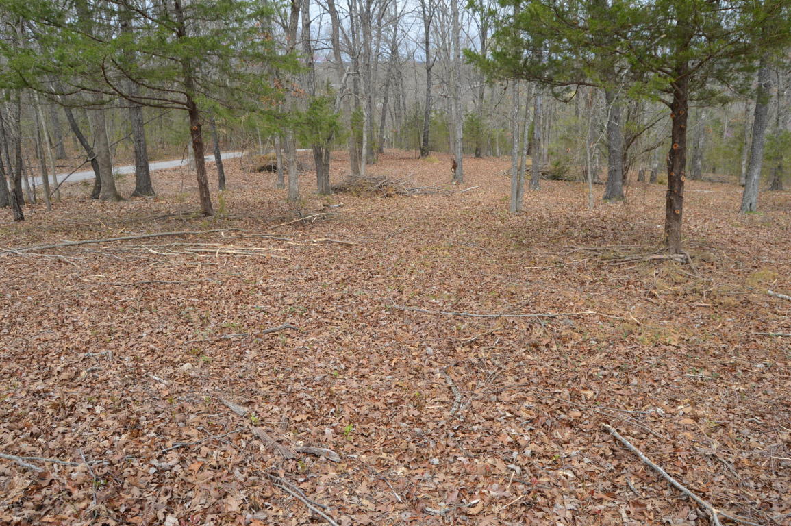 Tbd Little Aunts Creek Road, Kimberling City, MO 65686