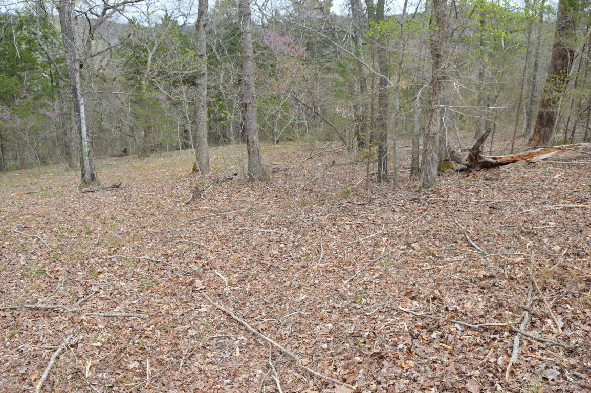 Tbd Little Aunts Creek Road, Kimberling City, MO 65686