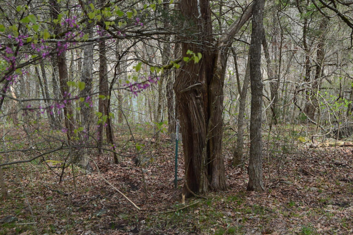 Tbd Little Aunts Creek Road, Kimberling City, MO 65686
