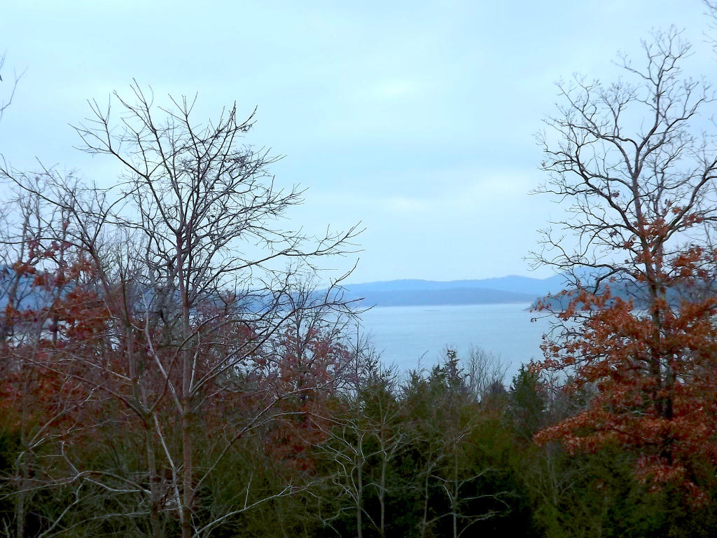Lot 48 Summer Road, Kimberling City, MO 65686