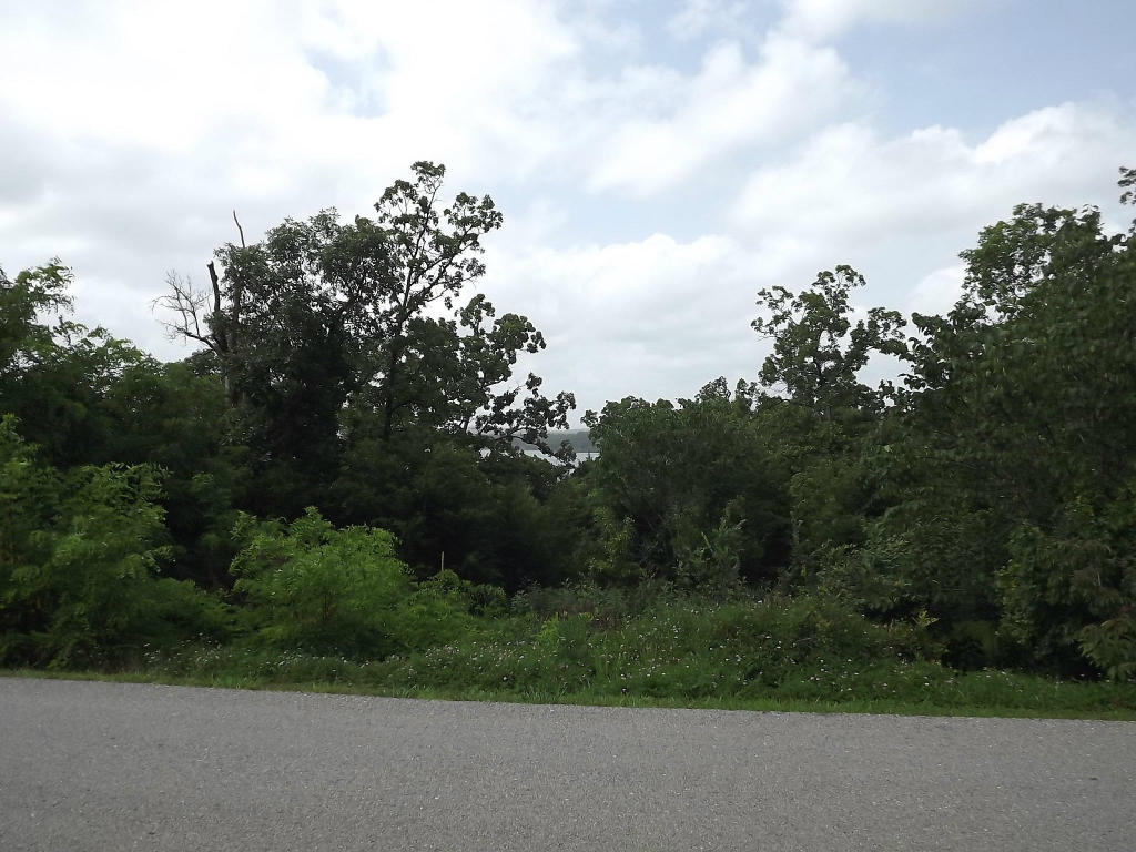 Lot 48 Summer Road, Kimberling City, MO 65686
