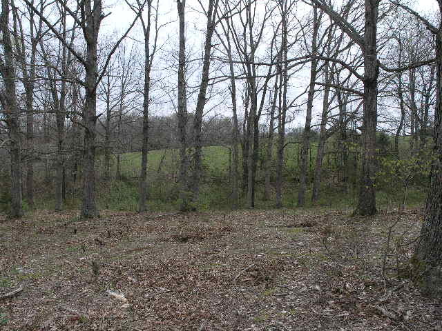 Tbd Highway Ak, Cabool, MO 65689