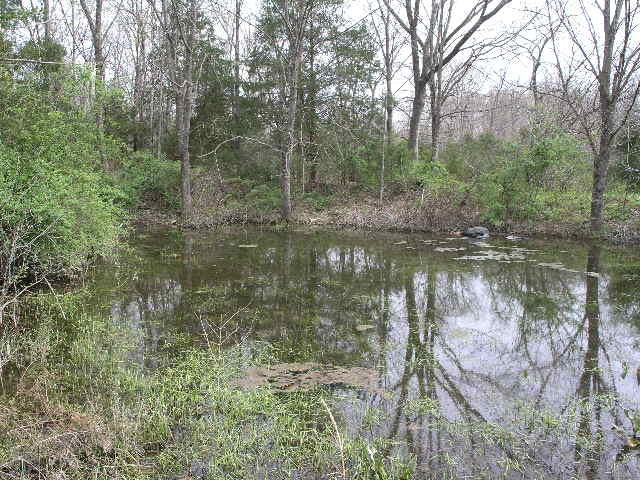 Tbd Highway Ak, Cabool, MO 65689