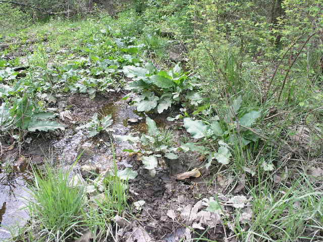 Tbd Highway Ak, Cabool, MO 65689
