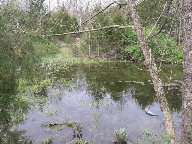 Tbd Highway Ak, Cabool, MO 65689