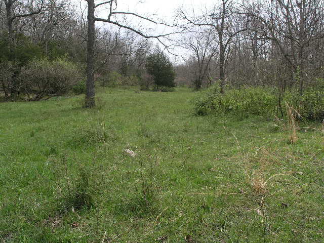 Tbd Highway Ak, Cabool, MO 65689