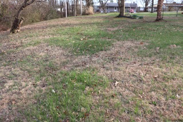 1104 Garst Street, Cabool, MO 65689