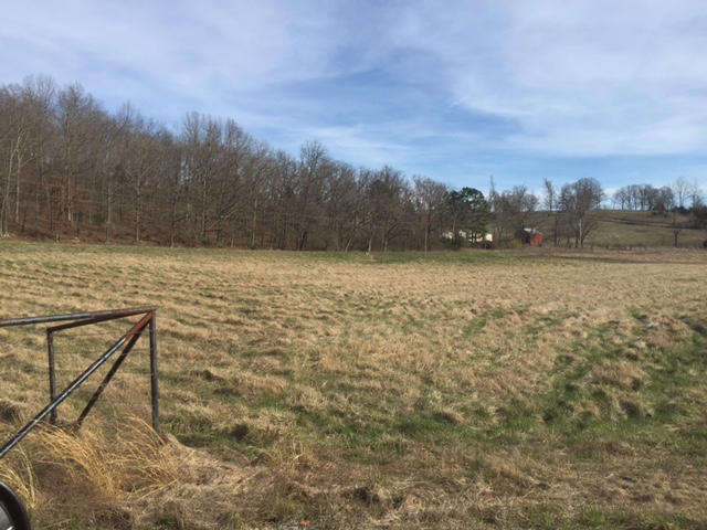 Tbd Hwy 63, Cabool, MO 65689