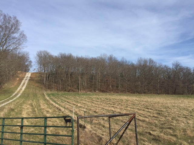 Tbd Hwy 63, Cabool, MO 65689