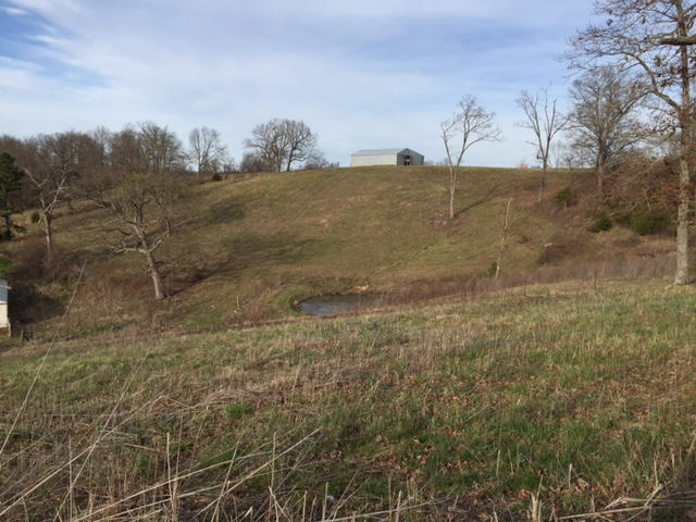 Tbd Hwy 63, Cabool, MO 65689