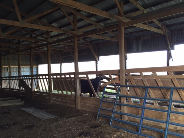 Tbd Hwy 63, Cabool, MO 65689
