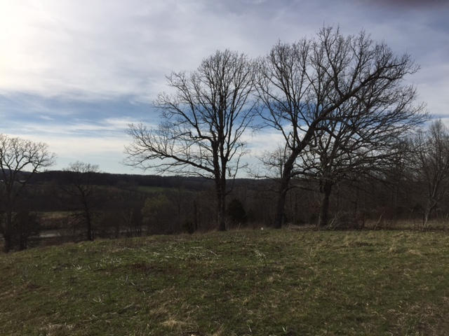 Tbd Hwy 63, Cabool, MO 65689