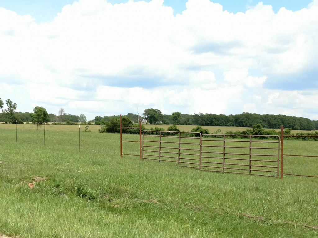 0 East Fork Lane, Marshfield, MO 65706