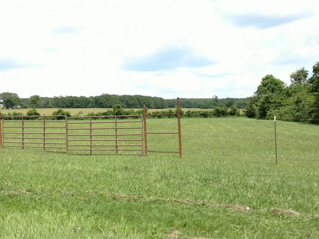 0 East Fork Lane, Marshfield, MO 65706