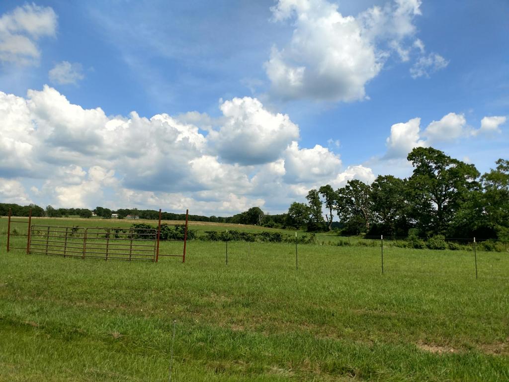 0 East Fork Lane, Marshfield, MO 65706