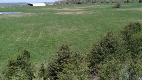 0 Sparkle Brook Road, Marshfield, MO 65706