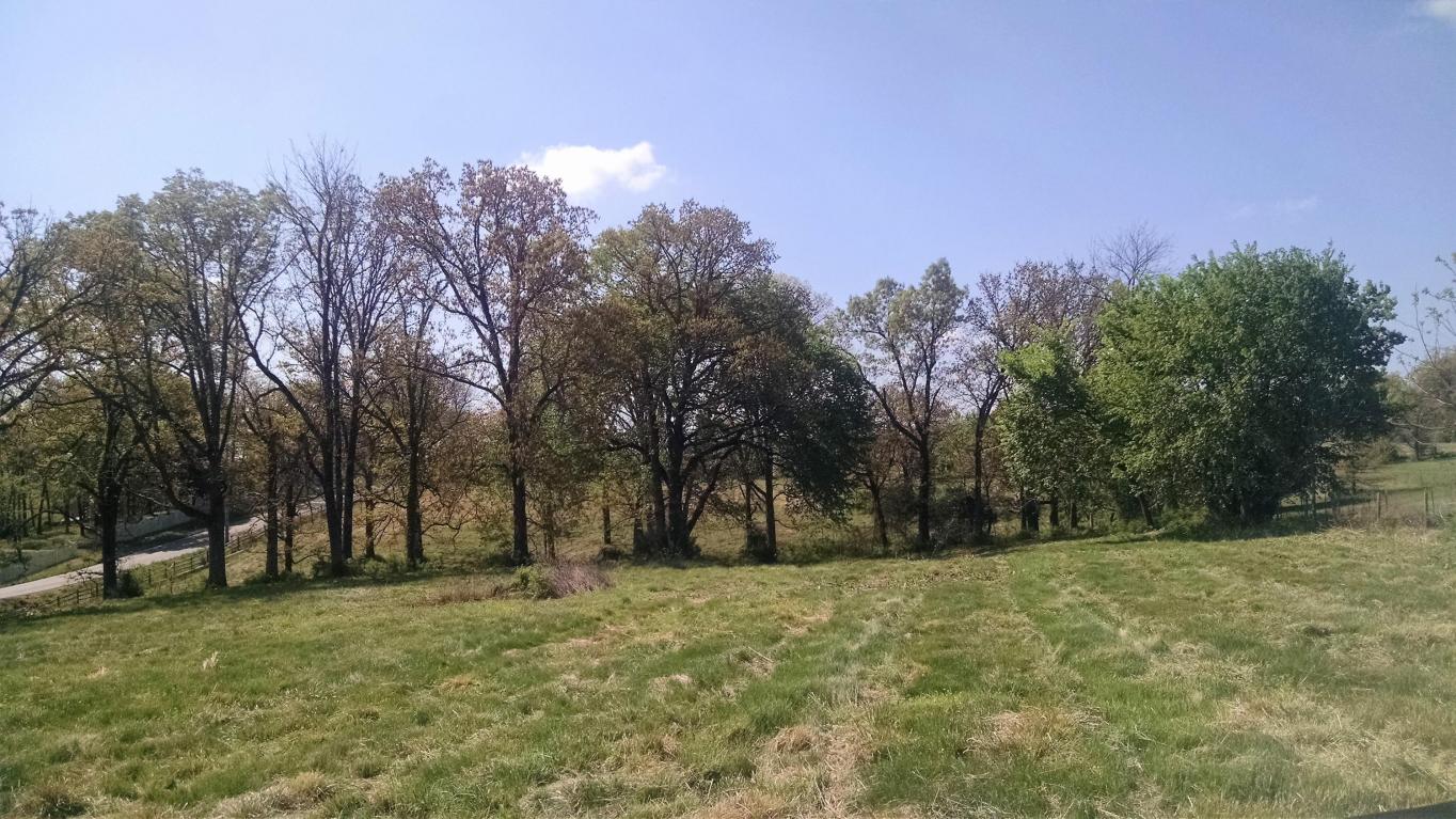 2211 SouthHwy M, Nixa, MO 65714