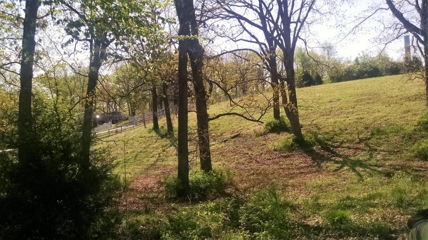 2211 SouthHwy M, Nixa, MO 65714