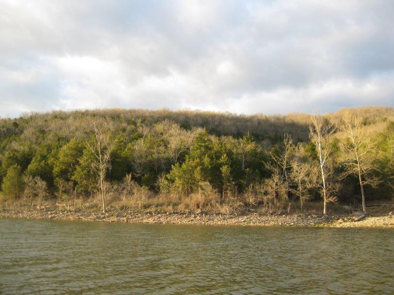 537 Sturgis Lane, Reeds Spring, MO 65737