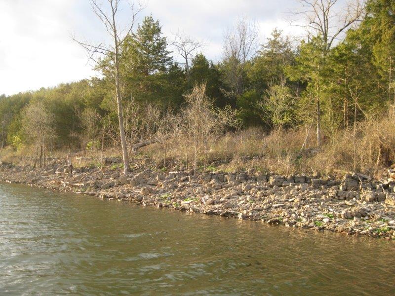 537 Sturgis Lane, Reeds Spring, MO 65737