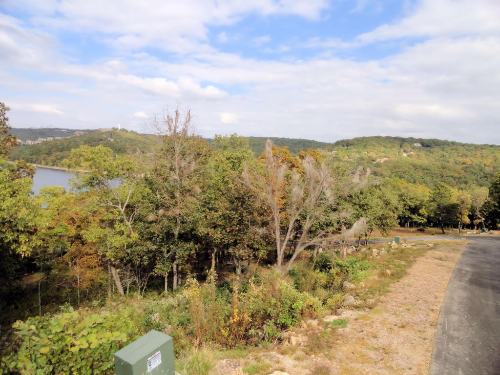 Lot 11 Canada Drive, Branson West, MO 65737