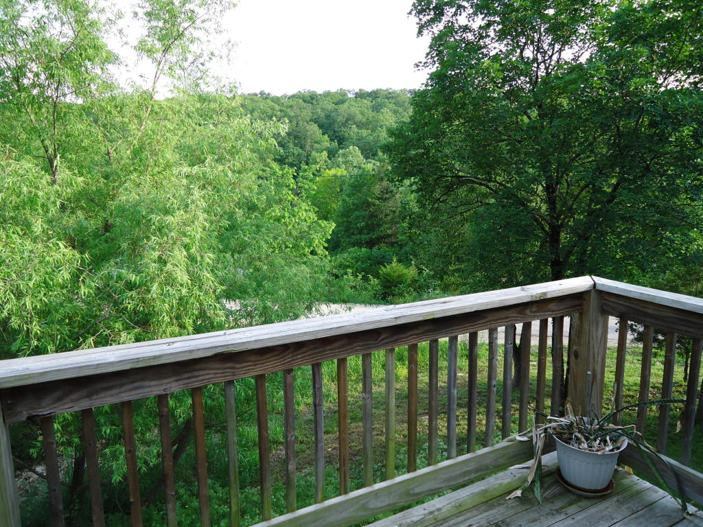 1002 Deer Trail Lane, Merriam Woods, MO 65740