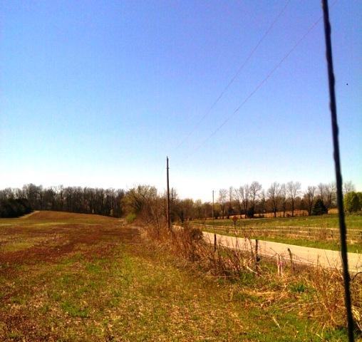 4200 South Farm Rd 227, Rogersville, MO 65742