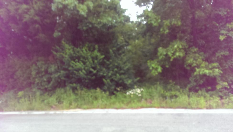 8400 East Farm Road 174, Rogersville, MO 65742