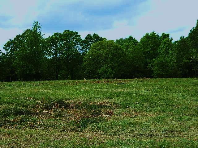 0 Whisper Drive, Rogersville, MO 65742