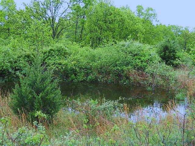 0 Whisper Drive, Rogersville, MO 65742