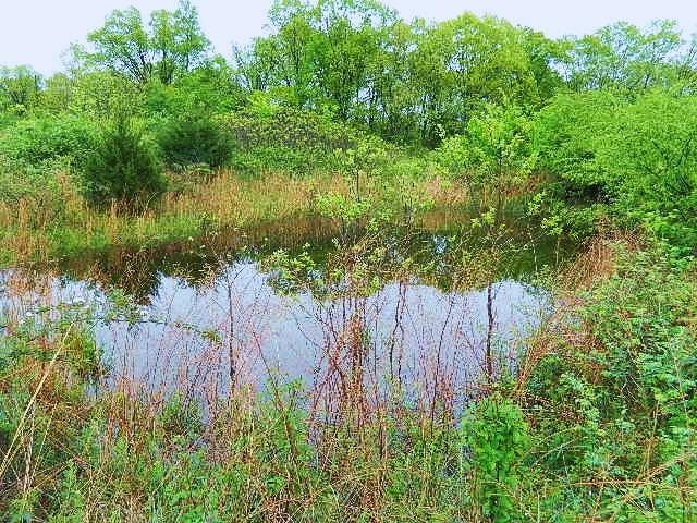 0 Whisper Drive, Rogersville, MO 65742