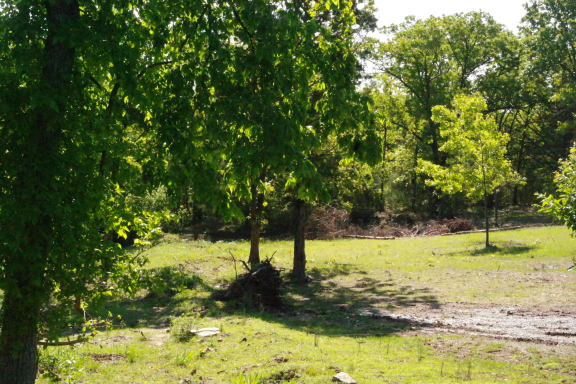 671 Rocky Road Lane, Shell Knob, MO 65747
