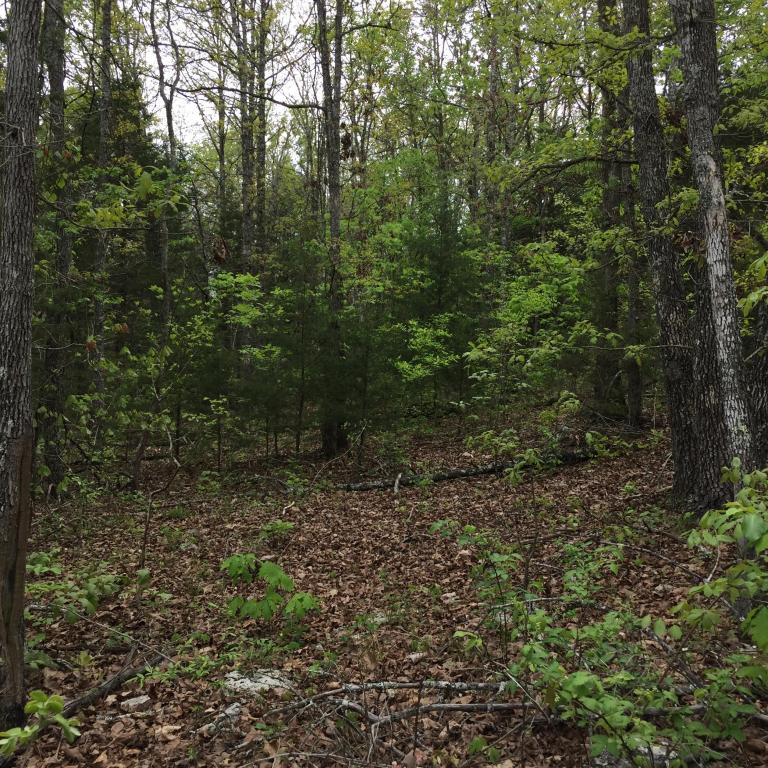 450 Jj Highway, Squires, MO 65755